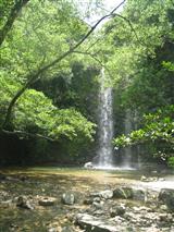 大宜味村のパワースポット滝